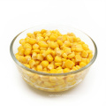 Canned sweet corn best quality